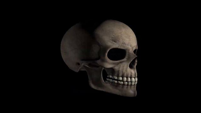 смешной череп смешно крутится под acid spit 10 часов смотреть онлайн