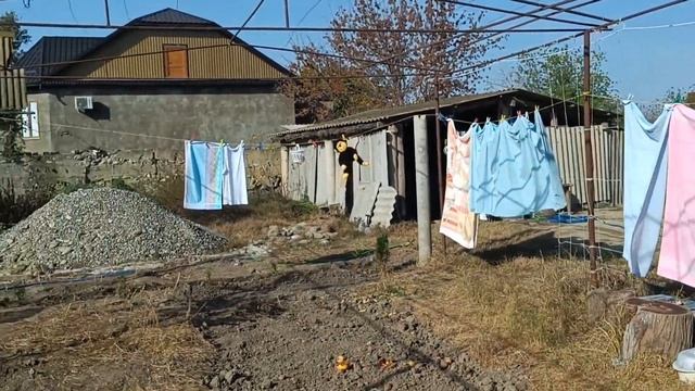 Шефская Тайна