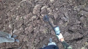 Эквинокс 600. Прыгаем по грубой распашке в поисках монет! Коп 2019