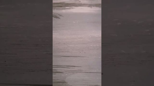 Самоделки по майнкрафт 1.16 из лего. смотреть онлайн