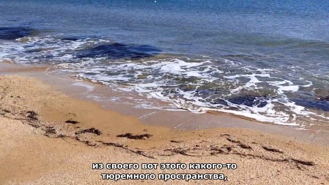 По смыслам стихотворения Иосифа Бродского «С видом на море» | В чём спасение от одиночества? смотреть онлайн