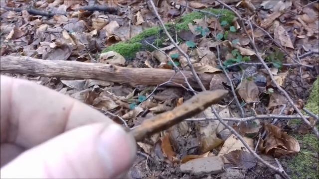 Коп в январе!Minelab CTX 3030! смотреть онлайн