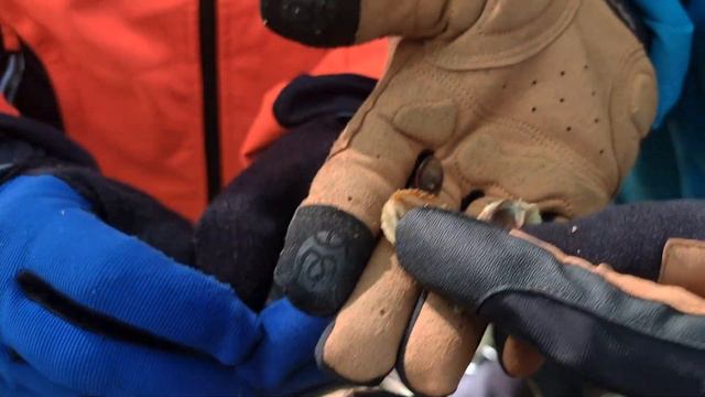 Штормыло или невольное закрытие купального сезона. смотреть онлайн