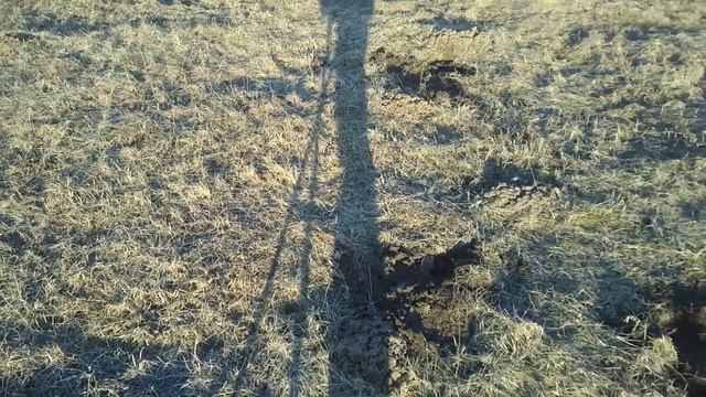 Поиск с Эквинокс 800. Вернулся в режим ПЛЯЖ 2 и снова находки.