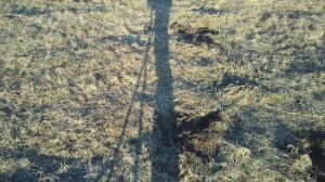 Поиск с Эквинокс 800. Вернулся в режим ПЛЯЖ 2 и снова находки.