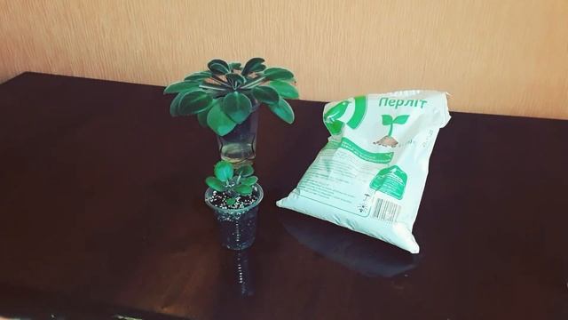 Агроперлит. Как применять и где использовать?