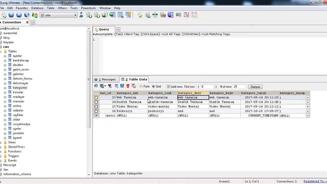 Php Pdo Sorgu oluşturma смотреть онлайн