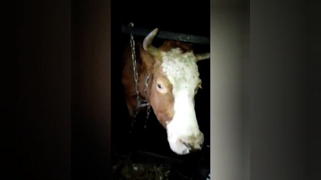 26 января 2023 г. смотреть онлайн