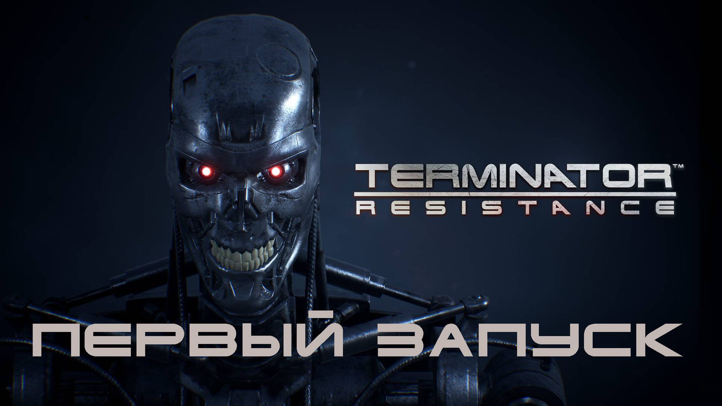 Terminator: Resistance