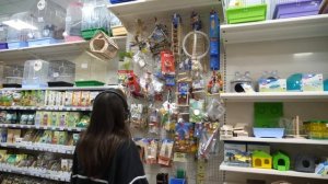 VLOG Закупка в зоомагазинах. Посадила мужа на диету