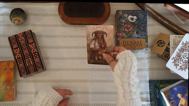 Rambly Chat about Diving Deeper into your Messages through Divination... and more...✨️ смотреть онлайн