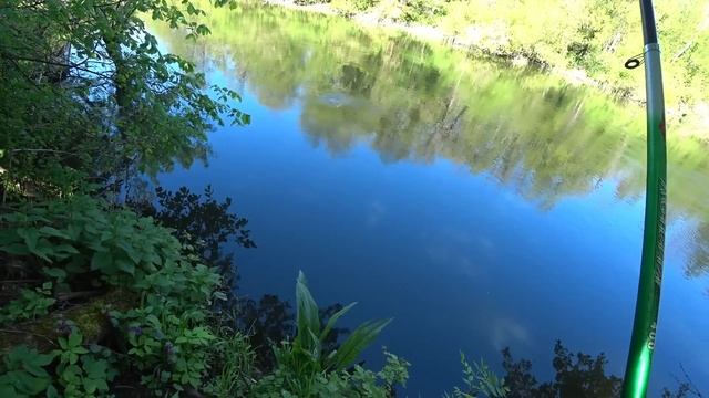 РЫБАЛКА НА ПОПЛАВОК НА УТРЕННЕЙ ЗОРКЕ в мае на реке. Рыбалка весной. смотреть онлайн