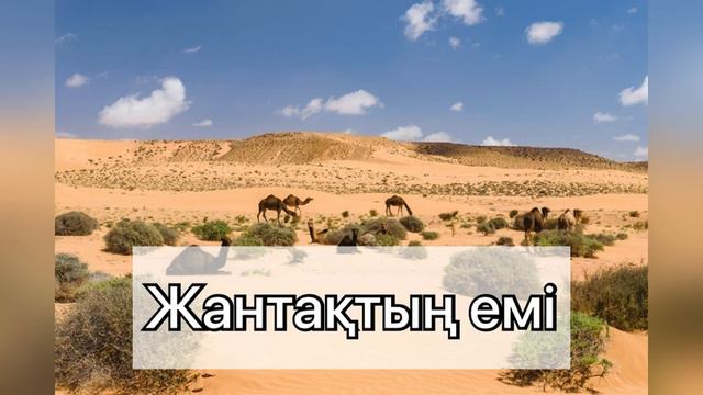 ЖАНТАҚ өсімдігінің ЕМДІК қасиеті.Түрлі аурулардың ЕМІ-Гемморой,Өт-бауыр,он екі елі ішек смотреть онлайн