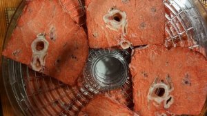 говяжье легкое для собак в электросушилке