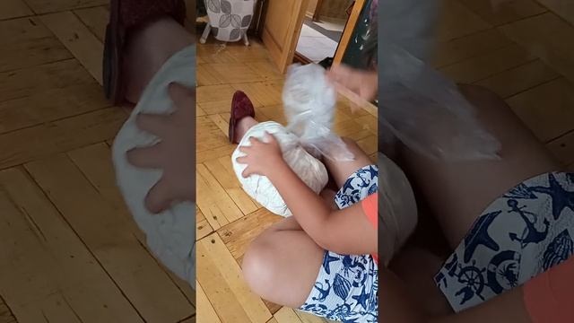 Гусь-обнимусь. Распаковка. смотреть онлайн