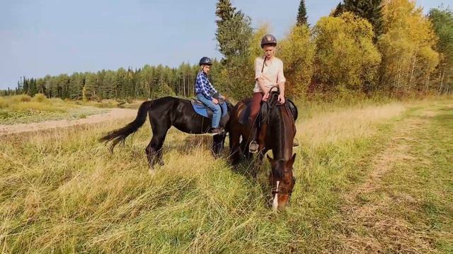 Природный комплекс Великорецкое. Конная прогулка смотреть онлайн