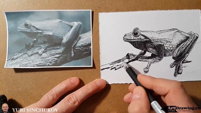 лягушка speed art смотреть онлайн