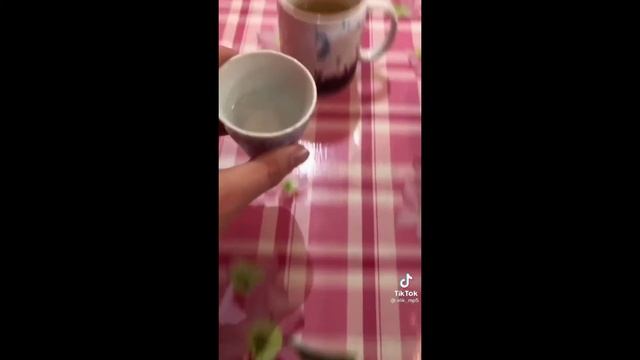 СБОРНИК ВИДЕО ИЗ ТИК ТИК ТОКА #5 | БУСТЕР смотреть онлайн