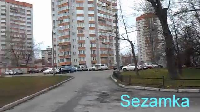 Голубой попугай у администрации Днепровского района смотреть онлайн
