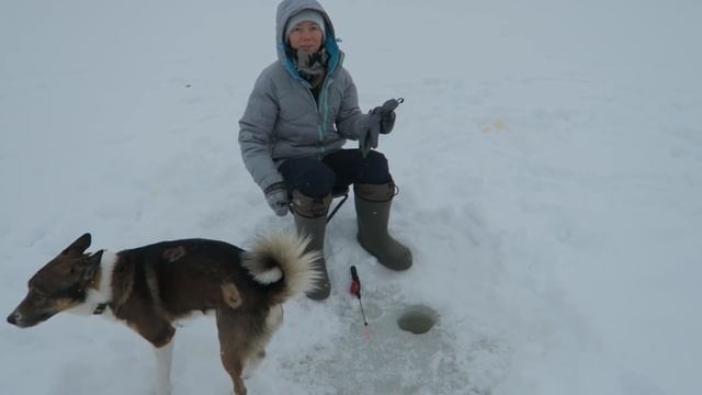 Семейная рыбалка. В поисках сига. Family fishing. смотреть онлайн