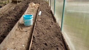 Теплая грядка в теплиц