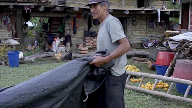 The Quest for the Perfect Coffee Bean 2 | Laird Hamilton in Peru смотреть онлайн