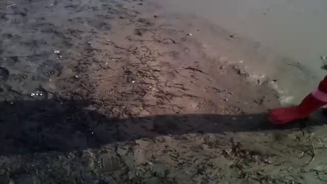 Влог: в поиска большой лужи. Пускаем запоздалый кораблик. смотреть онлайн