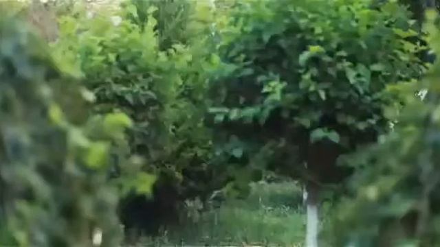 День рождения друга смотреть онлайн