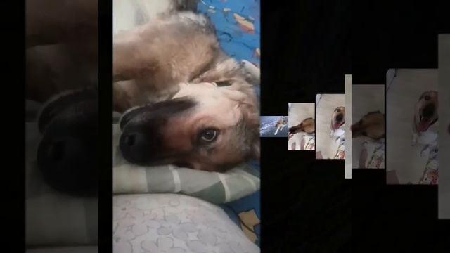 наша Буся смотреть онлайн