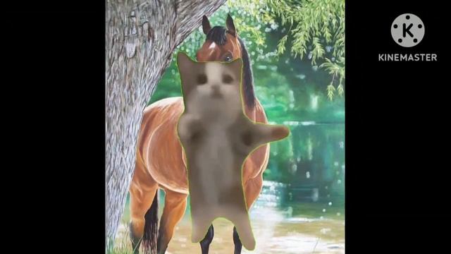 Evolution of Happy Cat PART 2 смотреть онлайн