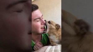 Парень и чихуахуа угарные моменты (нарезка) 2 части