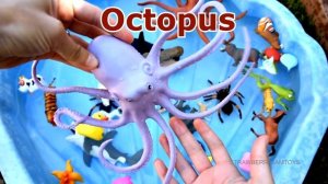 Sea Animals Toys Swimming - Fun Learn Animal Names For Kids Children