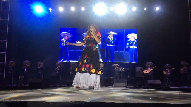 Como la Flor con Elina Dib смотреть онлайн