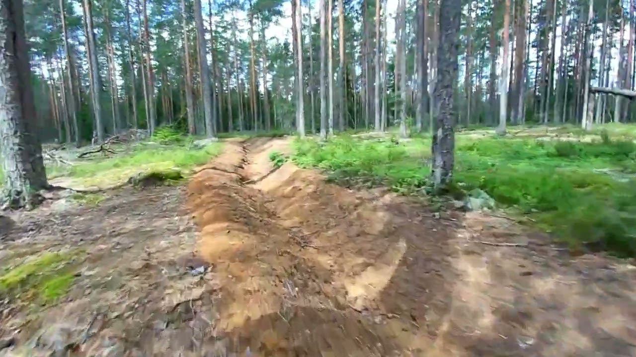 Лес смотреть онлайн