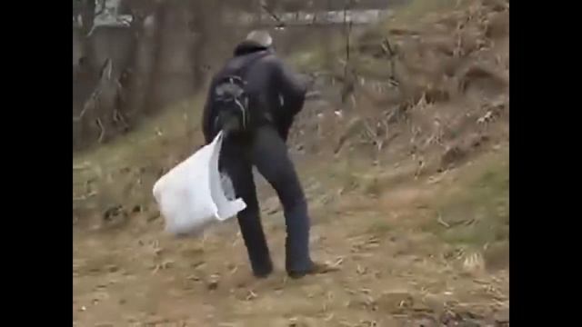 навыворот.дэйс - ловлю попугая смотреть онлайн