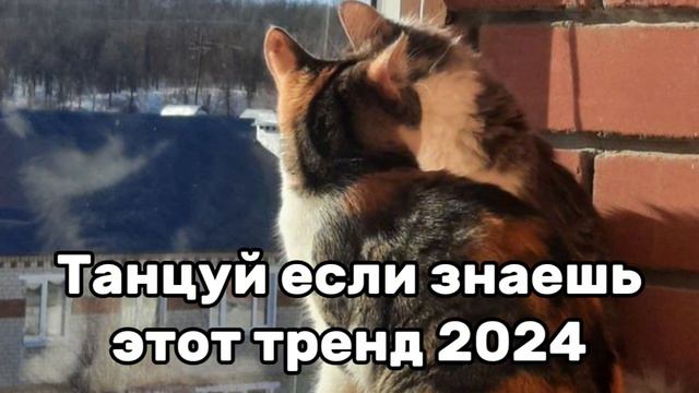 💛✨️Танцуй если знаешь этот тренд😇💗Тренды 2024года💛✨️ смотреть онлайн