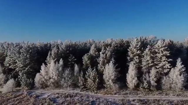 «Снимали обзорный вид нашей снегоходный трассы. Прокат снегоходов в Казани» смотреть онлайн