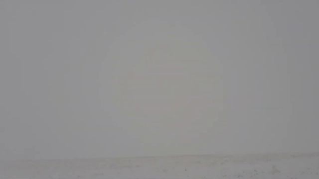 Нарын Куланак Чойжап жайлоосу 18.05.2019 смотреть онлайн