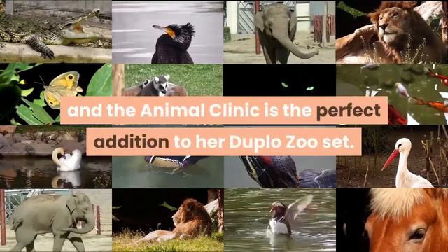 LEGO Duplo Animal Clinic (6158) смотреть онлайн