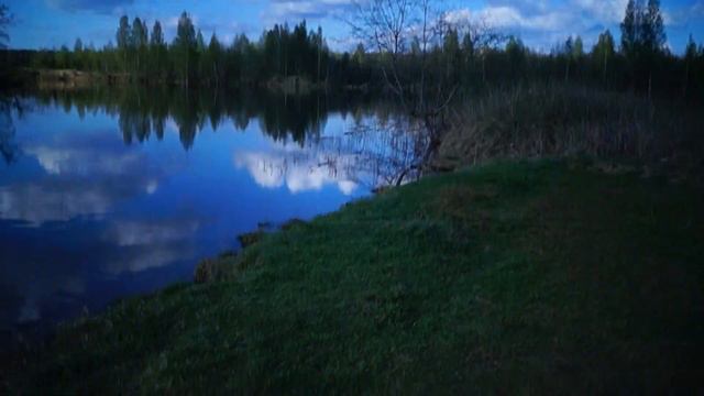 Света Монстера Блог смотреть онлайн