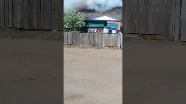 Лес и гора горят спасайся смотреть онлайн