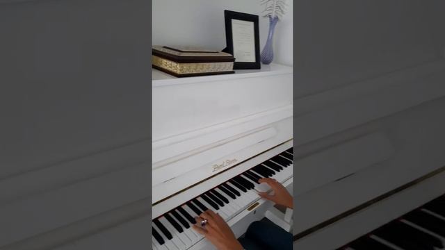 Song Of The Red Dervish-- Piyano ~ Şehla ASLAN( Çok Duygusal) смотреть онлайн