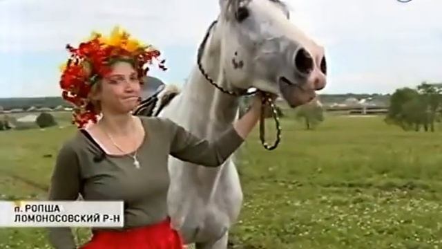 Сельский туризм на конной ферме Ковчег в Ропше смотреть онлайн