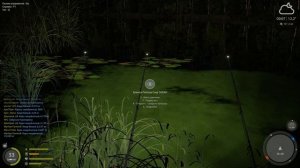 Русская рыбалка 4(рр4/rf4) - озеро Старый острог. Амур и карп.