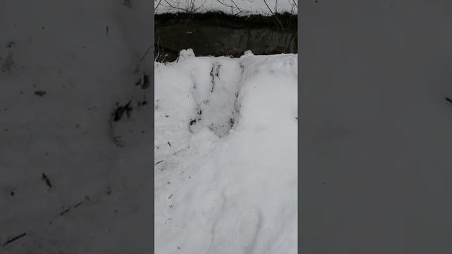 Р1320 Бам-Бух смотреть онлайн