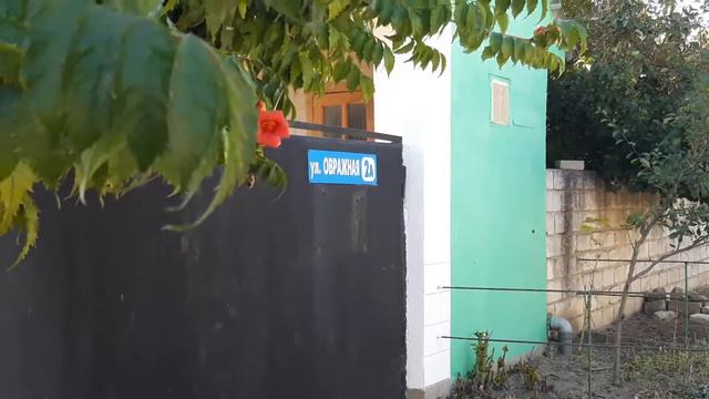 отдых на Азовском море в Крыму смотреть онлайн