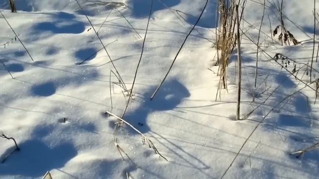 Гроздья калины смотреть онлайн