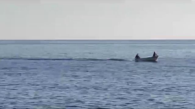 Delfus 450 pescador con honda bf5 смотреть онлайн