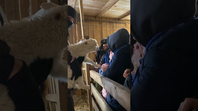 Добровольцы РТУ МИРЭА отправились в зимнюю экспедицию в Селижарово смотреть онлайн