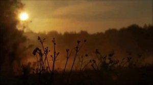 Природа  Рассвет